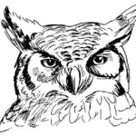 logo Chalet Le HIBOU